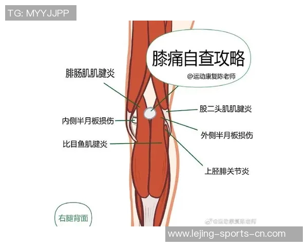足球运动中膝盖伤病的成因与预防措施探讨